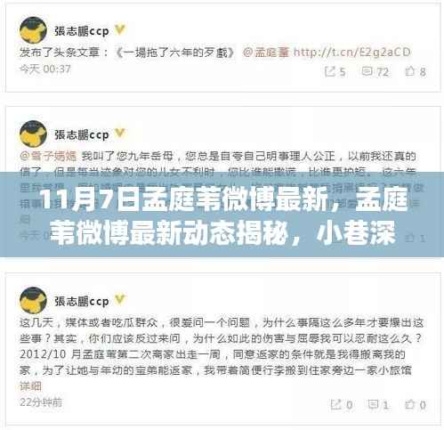 孟庭苇最新微博揭秘,小巷深处的独特风味小店之旅