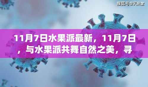 11月7日水果派盛宴,共舞自然之美,探寻内心宁静之旅