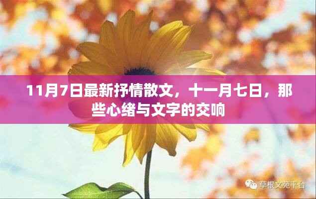 十一月七日,心绪与文字的交响
