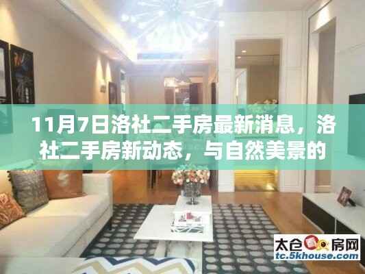 洛社二手房最新动态,与自然美景邂逅的宁静港湾探索之旅