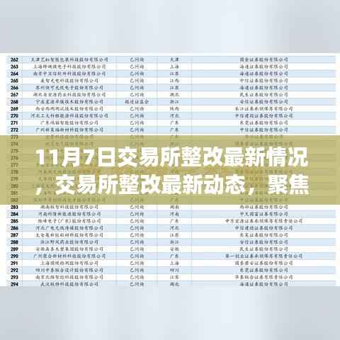 聚焦交易所整改最新动态,11月7日更新情况深度解析
