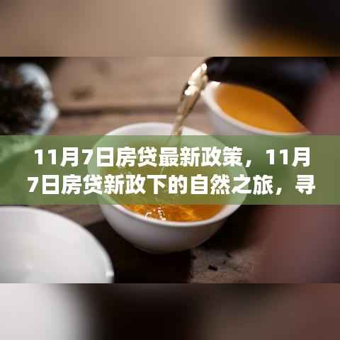 11月7日房贷新政下的心灵与风景之旅,探寻内心宁静与诗意风景
