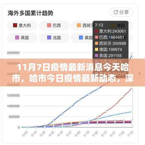 哈尔滨疫情最新动态,今日分析与个人观点分享(11月7日更新)