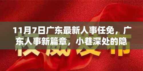 广东人事任免背后的故事,美食与人事的双重惊喜冒险之旅(11月7日)