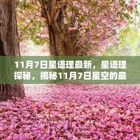 揭秘11月7日星空最新奥秘,星语理探秘之旅