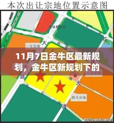 金牛区新规划下的温馨日常,友情邂逅记
