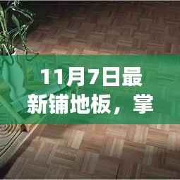 从地板变迁掌握新技能,学习与成长的魅力之路