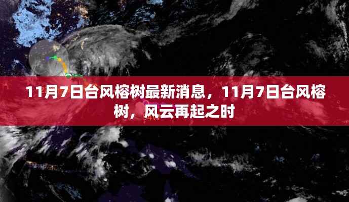 台风榕树最新动态,风云再起之时