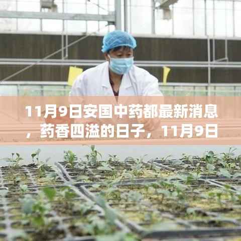 11月9日安国中药都,药香四溢的日子与温馨故事