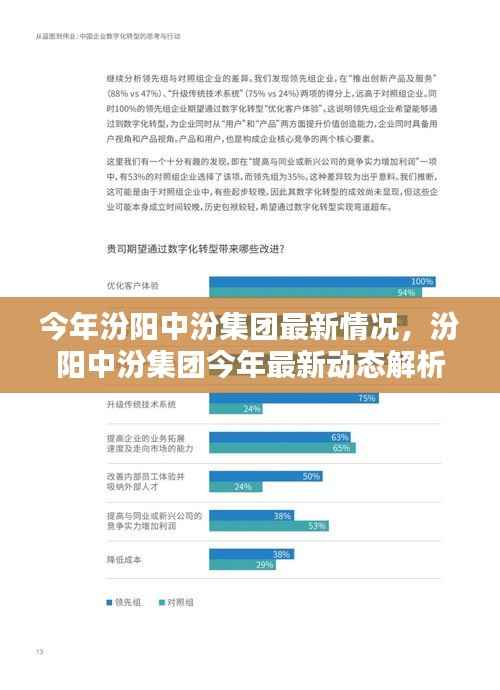 汾阳中汾集团最新动态解析,今年最新情况一览