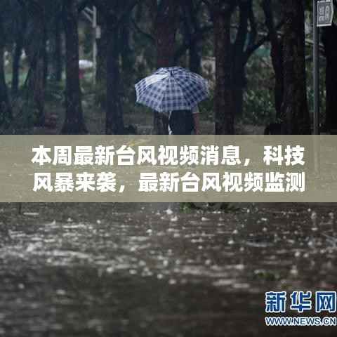 科技风暴来袭,最新台风视频监测系统智能预警,守护安全防线!
