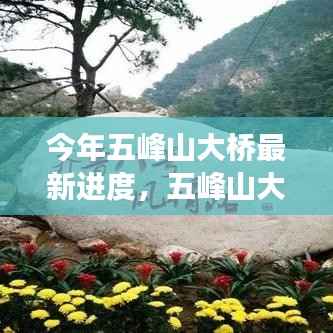 五峰山大桥最新进度揭秘,自然之旅的心灵触摸点更新进展