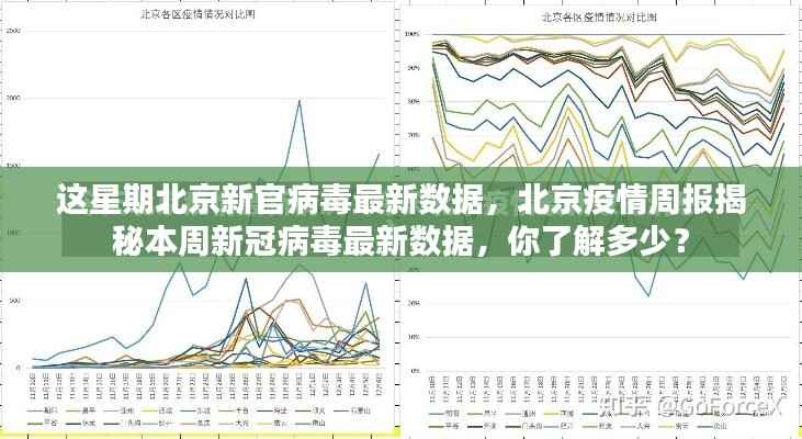北京疫情周报,本周新冠病毒最新数据深度解析与公众知晓度探讨