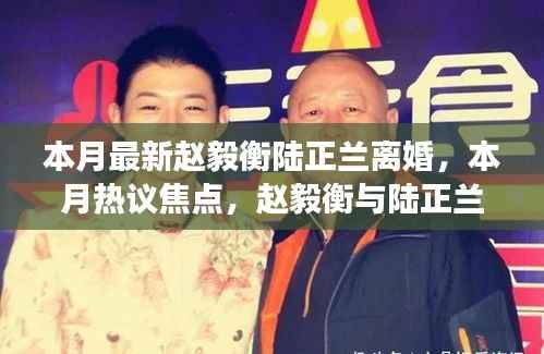 赵毅衡与陆正兰离婚事件,本月热议焦点深度解析