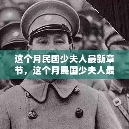 最新章节深度测评与介绍,民国少夫人本月更新概览