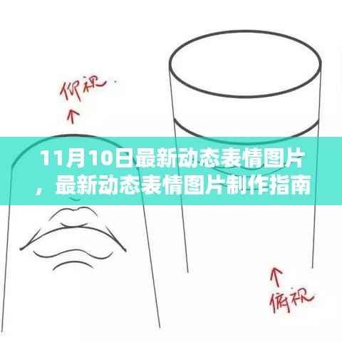 11月10日动态表情图片制作指南,初学者与进阶用户必备技能