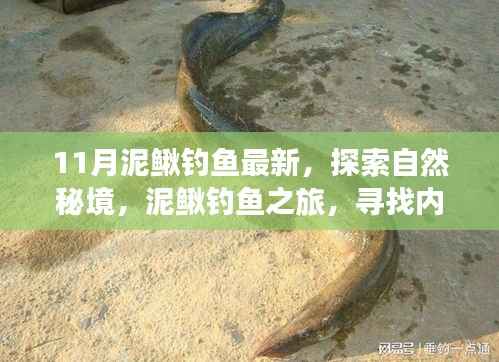 探索自然秘境,泥鳅钓鱼之旅,探寻内心的宁静与钓鱼之乐(最新泥鳅钓鱼指南)