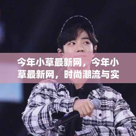 今年小草最新网,时尚潮流与实用功能的完美融合