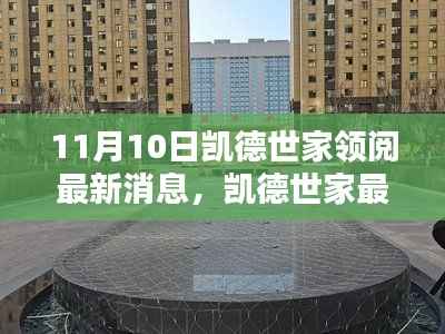 凯德世家最新动态解析,11月10日消息引发的深度思考