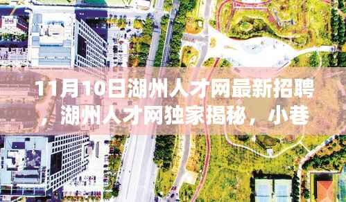湖州人才网独家揭秘,小巷深处的隐藏宝藏——最新招聘与独特小店求职新发现