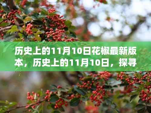探寻花椒平台发展历程,11月10日版本更新特色回顾与解析