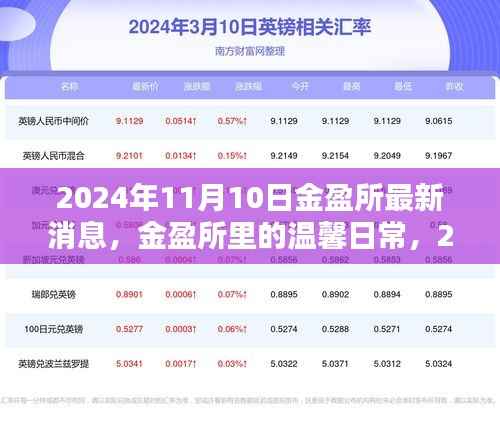 金盈所温馨日常与奇遇,2024年11月10日的消息与故事