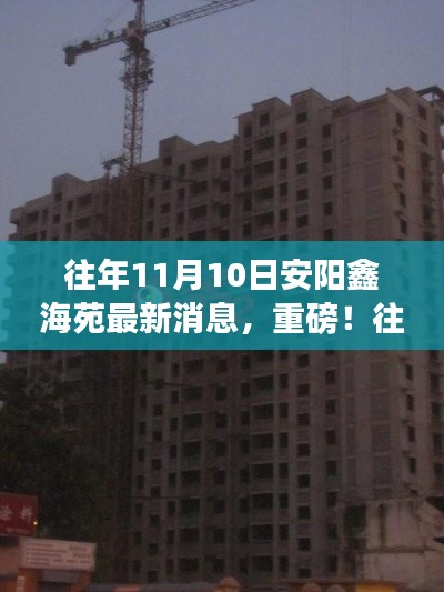 往年11月10日安阳鑫海苑最新消息全面解析重磅来袭!