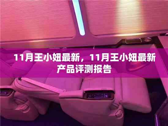 王小妞最新产品评测报告出炉,揭秘十一月新品亮点