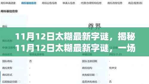 揭秘太糊最新字谜,文字游戏的魅力与挑战,11月12日独家解析!