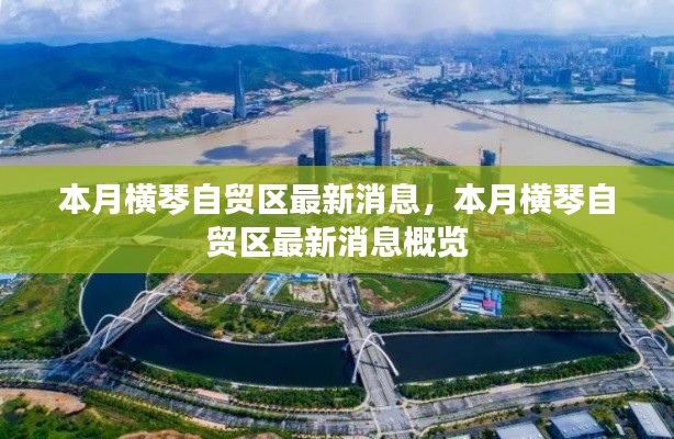 横琴自贸区本月最新动态概览