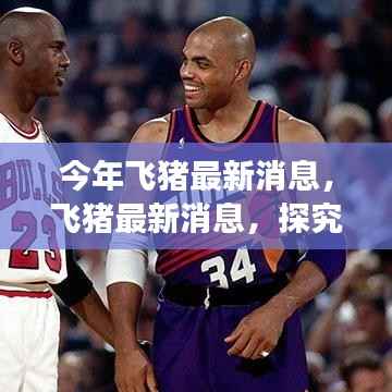 今年飞猪最新动态,探究发展前景与各方观点