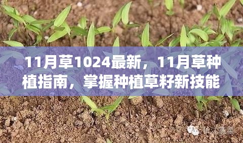 11月草种植指南,掌握新技能,轻松开启园艺之旅