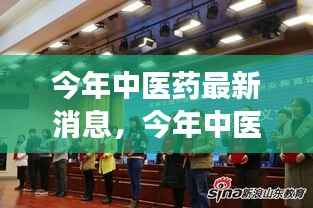 今年中医药最新消息,创新与传统的交融发展之路