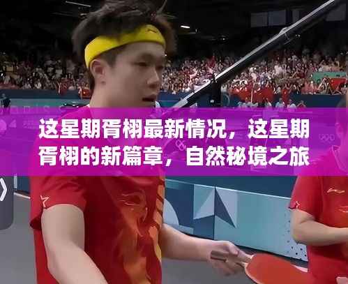 胥栩最新动态,自然秘境之旅,探寻心灵宁静与乐趣的新篇章