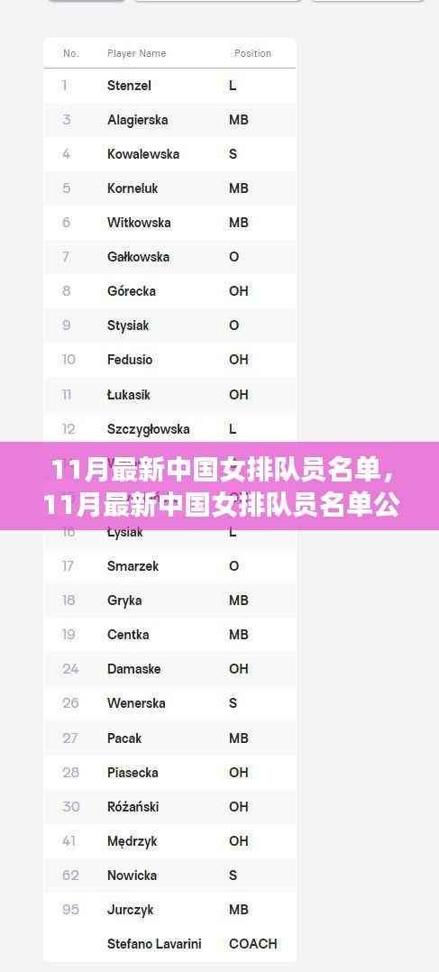 中国女排新篇章,11月最新队员名单公布,崛起的力量