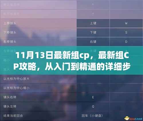 最新组CP攻略,从入门到精通的详细步骤指南(适合初学者与进阶用户,11月13日更新)
