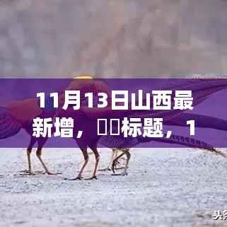山西新发现之旅,追寻自然之美,拥抱内心的宁静(最新更新日期,11月13日)