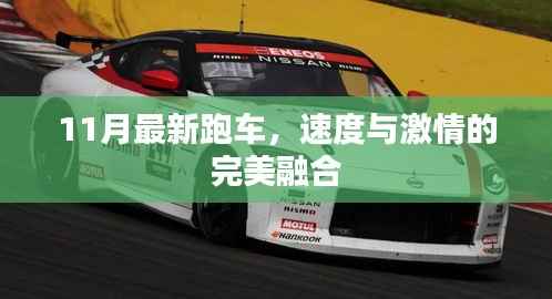 11月最新跑车,速度与激情的完美融合