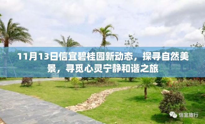 11月13日信宜碧桂园新动态,探寻自然美景,寻觅心灵宁静和谐之旅