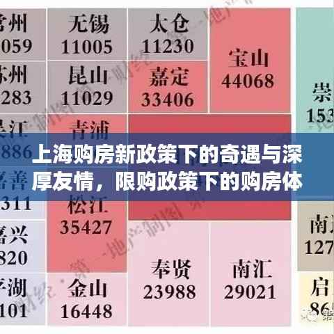 上海购房新政策下的奇遇与深厚友情,限购政策下的购房体验与友情故事