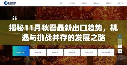 揭秘11月秋霞最新出口趋势,机遇与挑战并存的发展之路
