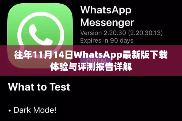 往年11月14日WhatsApp最新版下载体验与评测报告详解