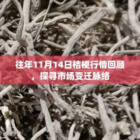 往年11月14日桔梗行情回顾,探寻市场变迁脉络