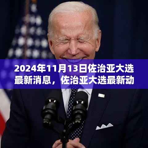2024年佐治亚大选最新动态与全攻略,11月13日选举参与指南