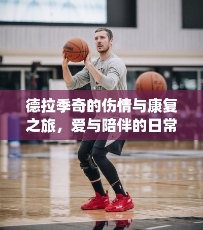 德拉季奇的伤情与康复之旅,爱与陪伴的日常故事