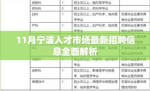 11月宁波人才市场最新招聘信息全面解析
