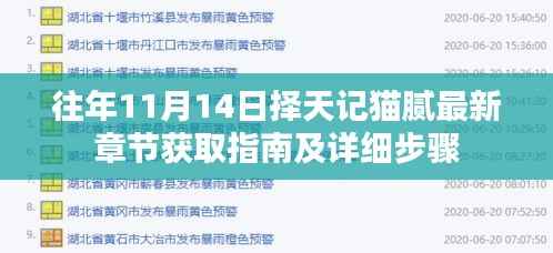 往年11月14日择天记猫腻最新章节获取指南及详细步骤