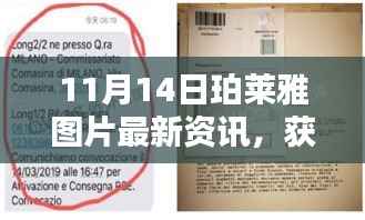 11月14日珀莱雅图片最新资讯,获取与解析步骤指南