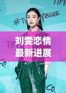 刘雯恋情最新进展揭秘,追踪明星情感动向的独家指南