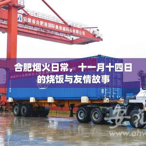 合肥烟火日常,十一月十四日的烧饭与友情故事